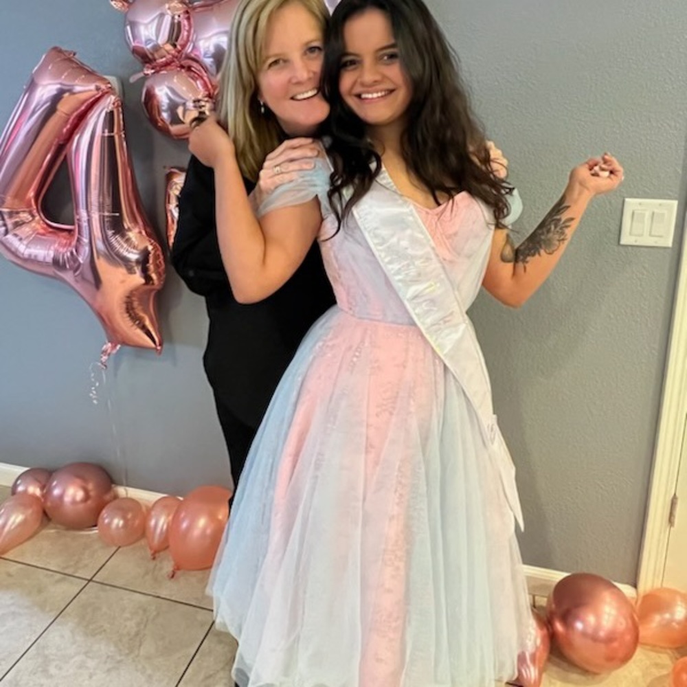 Pink Blue dress